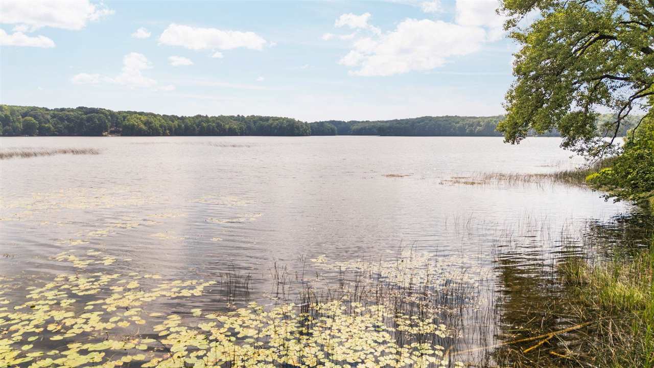 8370 Lake Of The Woods Road Bellaire MI 49615