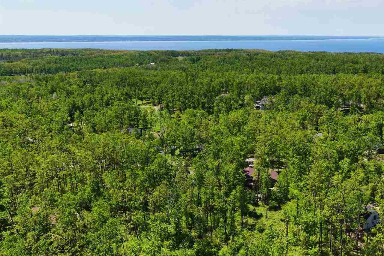 4563 Stoney Hill Court Harbor Springs MI 49740
