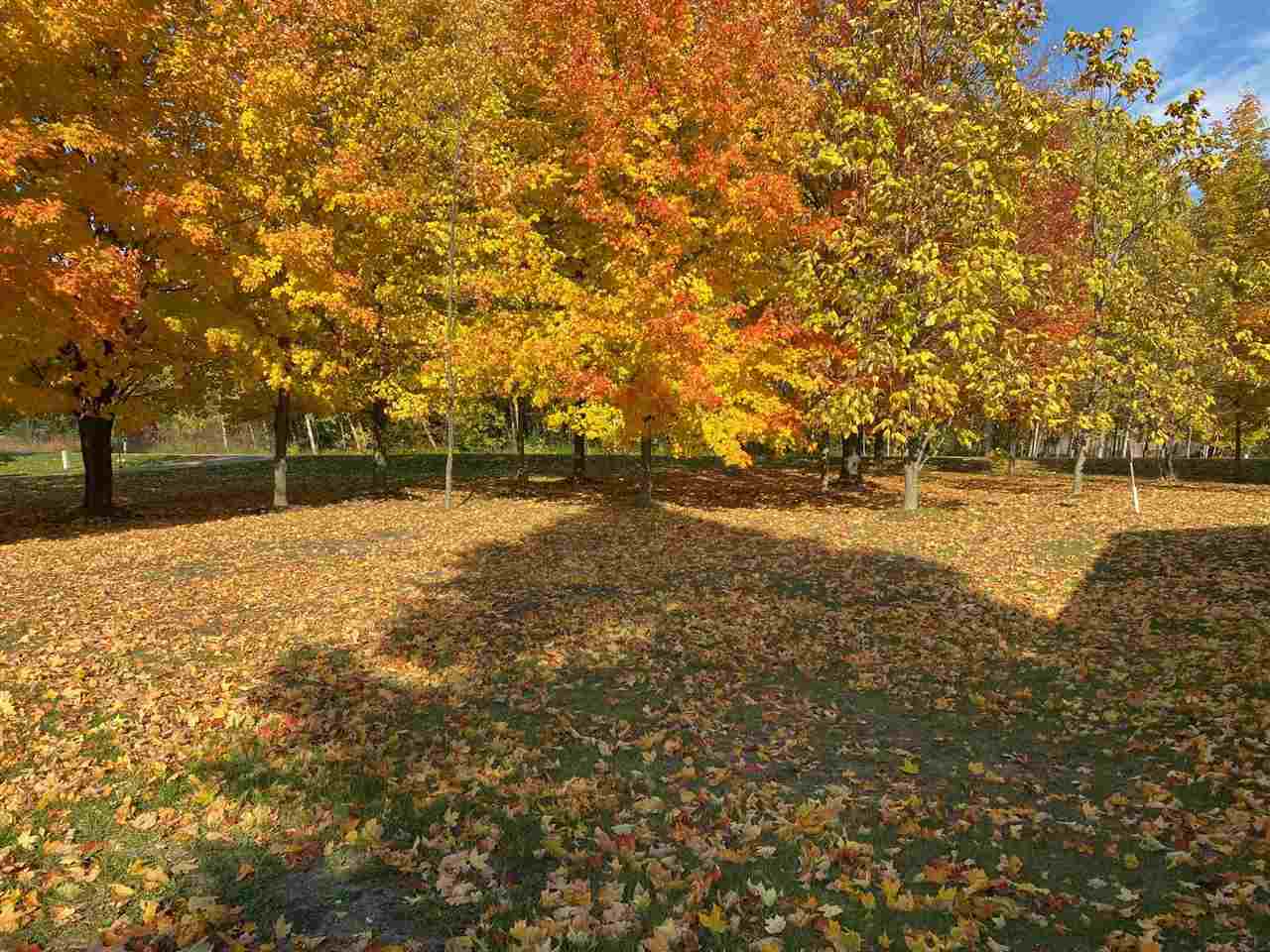 05967 Miles East Jordan MI 49727
