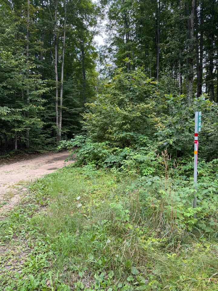 6168 Needles Lane Kalkaska MI 49646