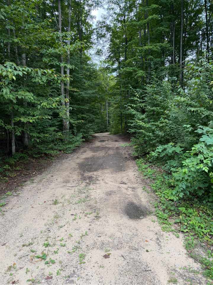 6168 Needles Lane Kalkaska MI 49646