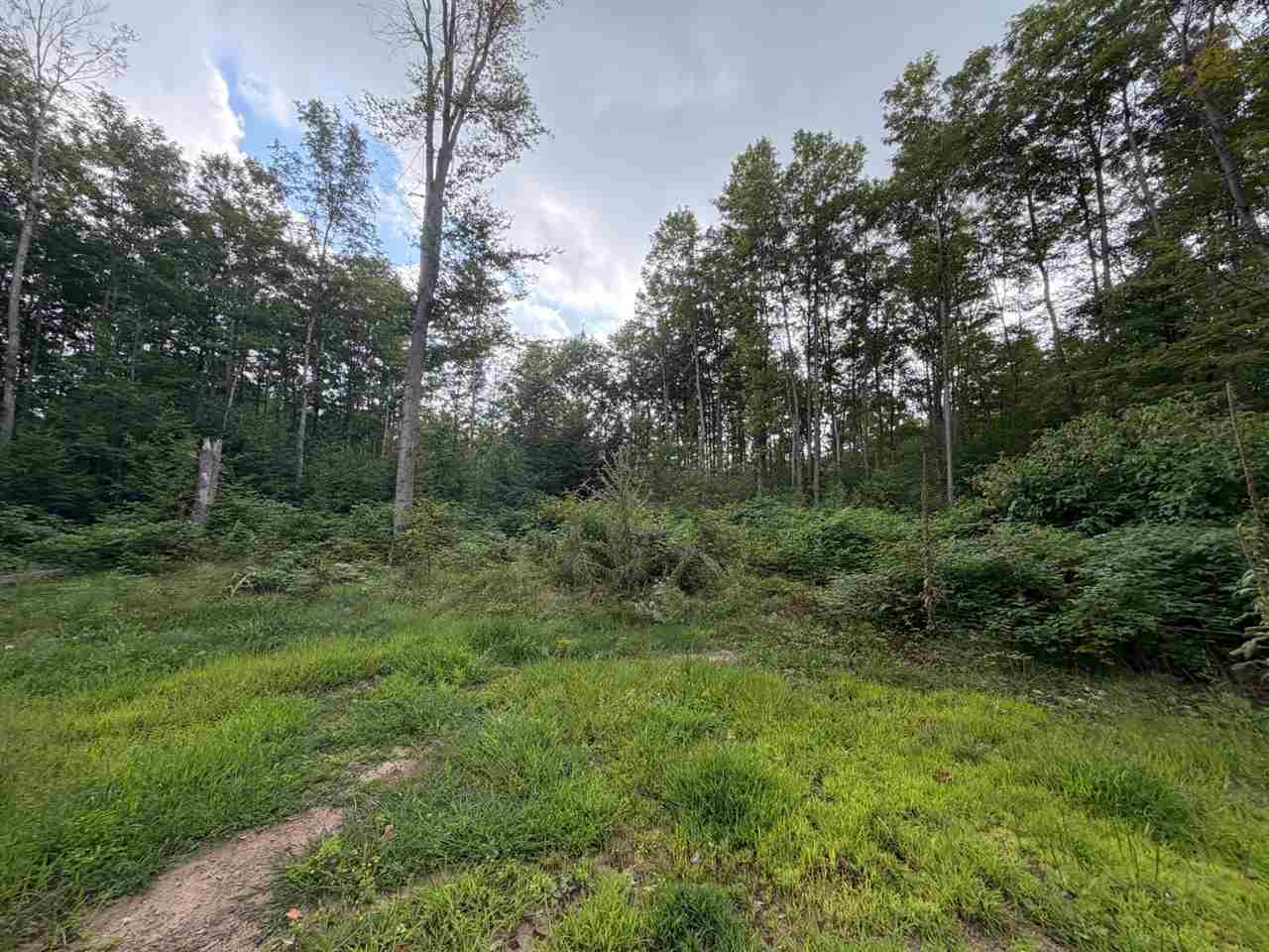 6168 Needles Lane Kalkaska MI 49646