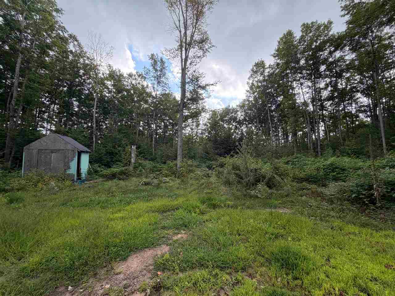 6168 Needles Lane Kalkaska MI 49646