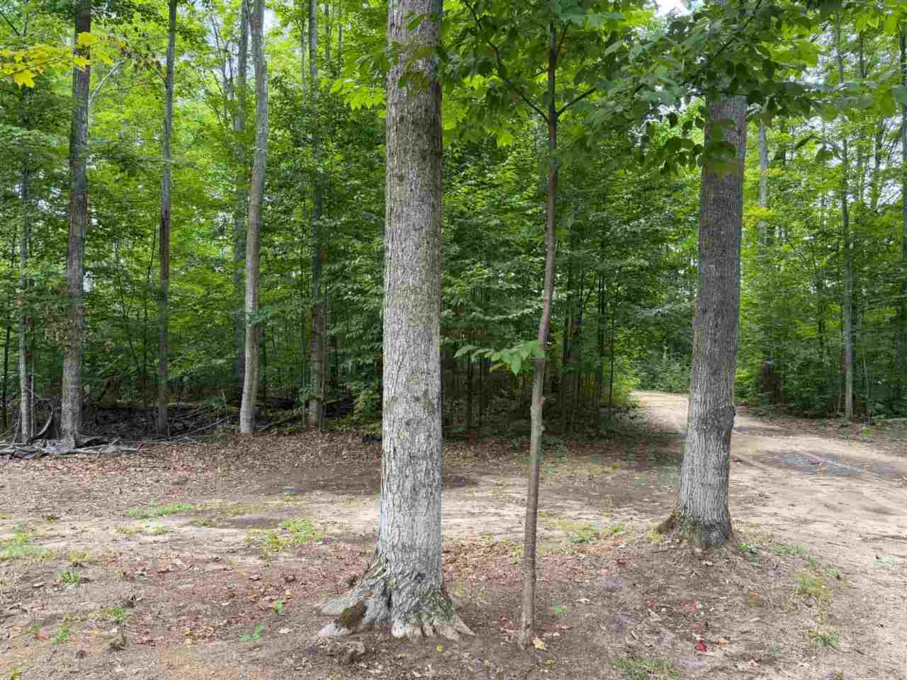 6168 Needles Lane Kalkaska MI 49646