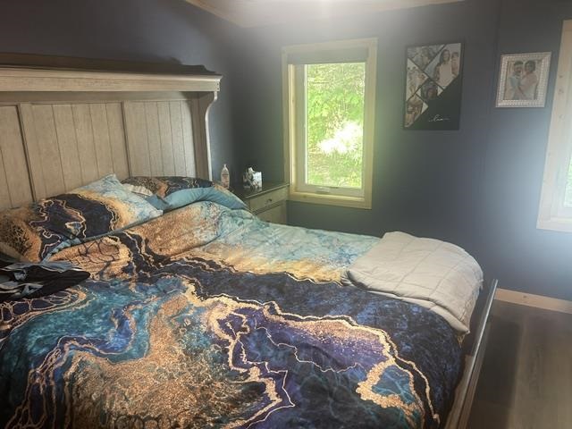 10316 Wheeling Road Carp Lake MI 49718