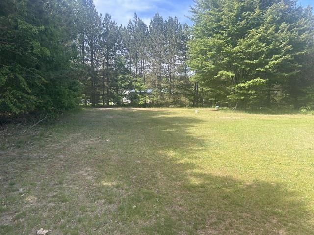 10316 Wheeling Road Carp Lake MI 49718