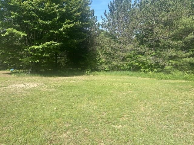 10316 Wheeling Road Carp Lake MI 49718