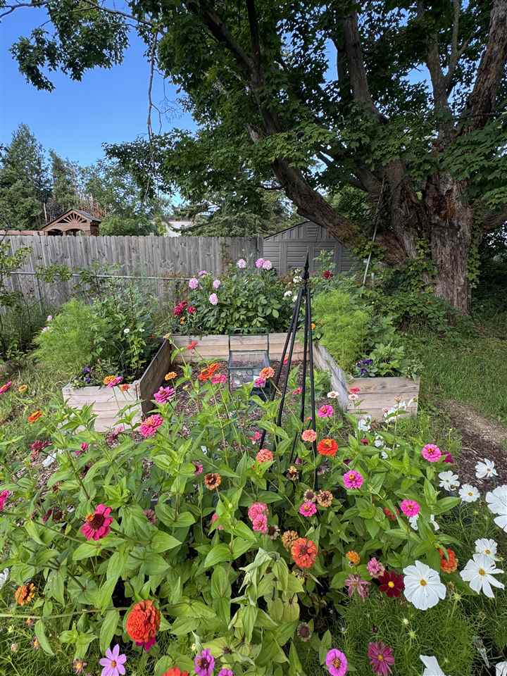 520 W Sheridan Petoskey MI 49770