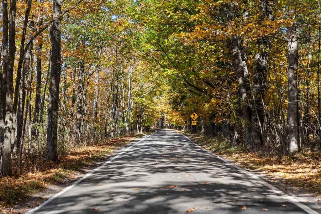 5060 Lower Shore Drive Harbor Springs MI 49740