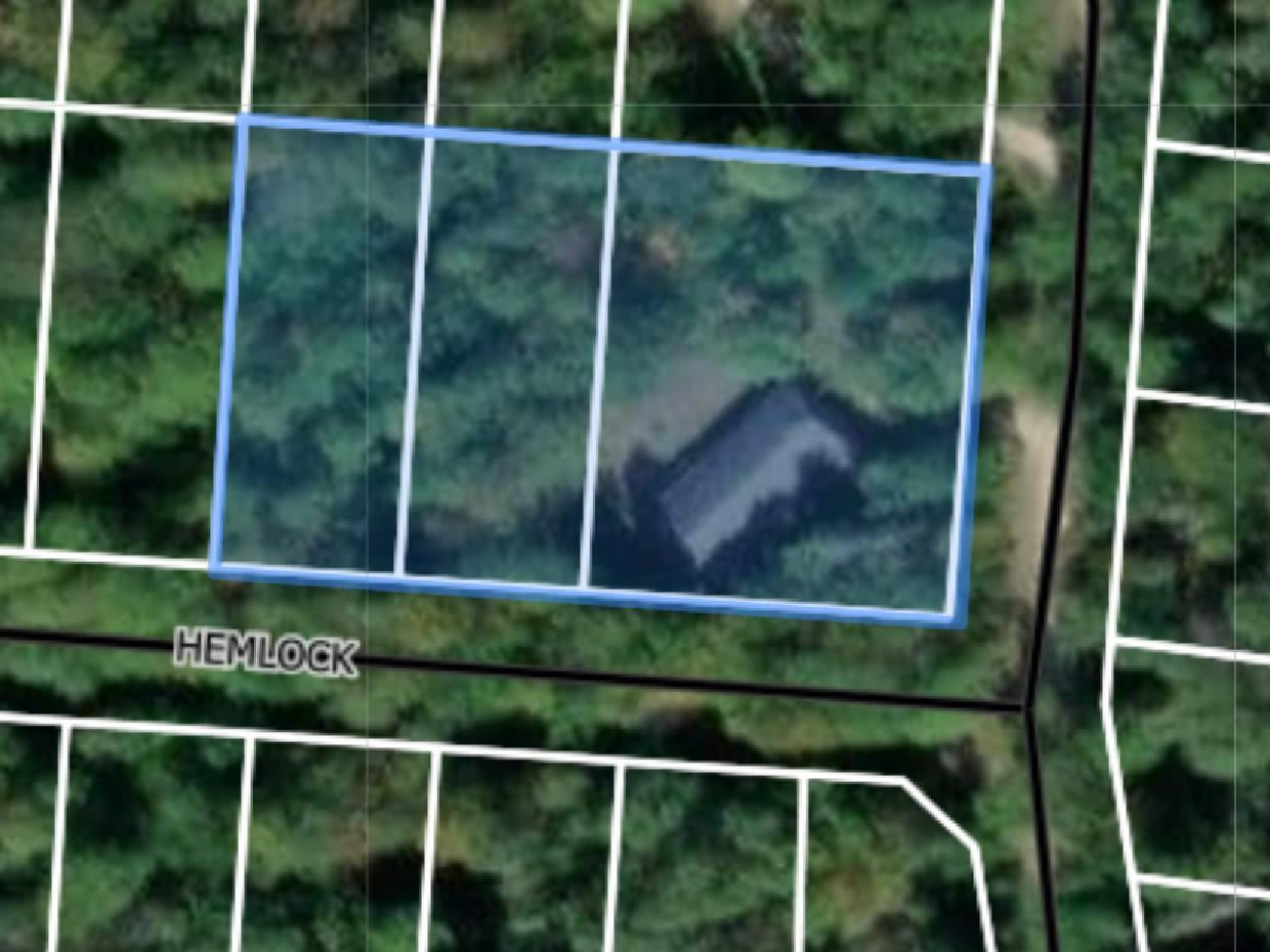 27646 White Cedar Trail Beaver Island MI 49782