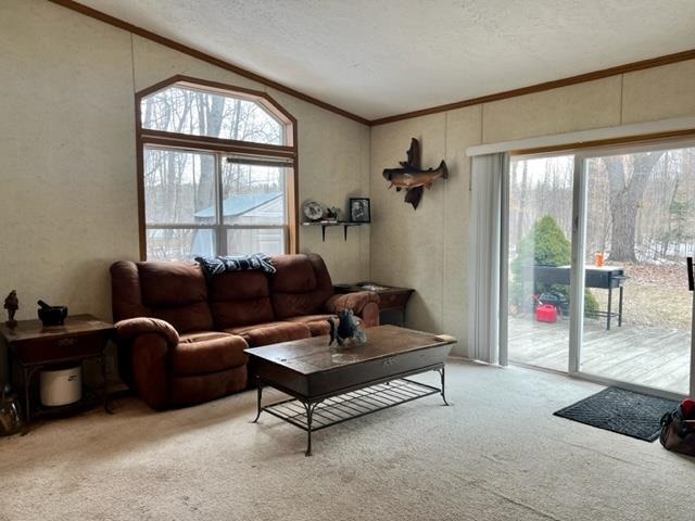728 N Addis Road Boyne City MI 49712