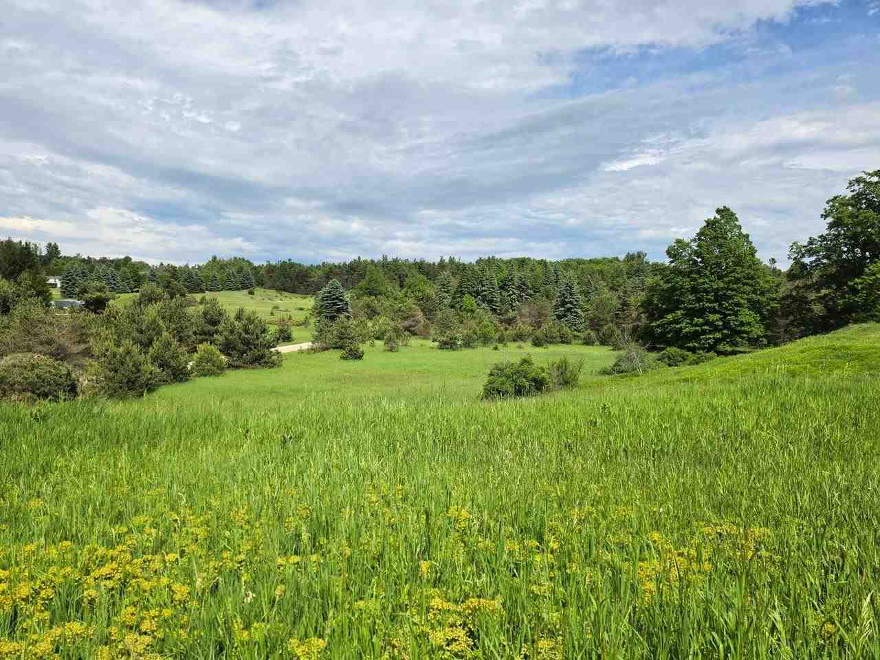 7249 S State Road Harbor Springs MI 49740
