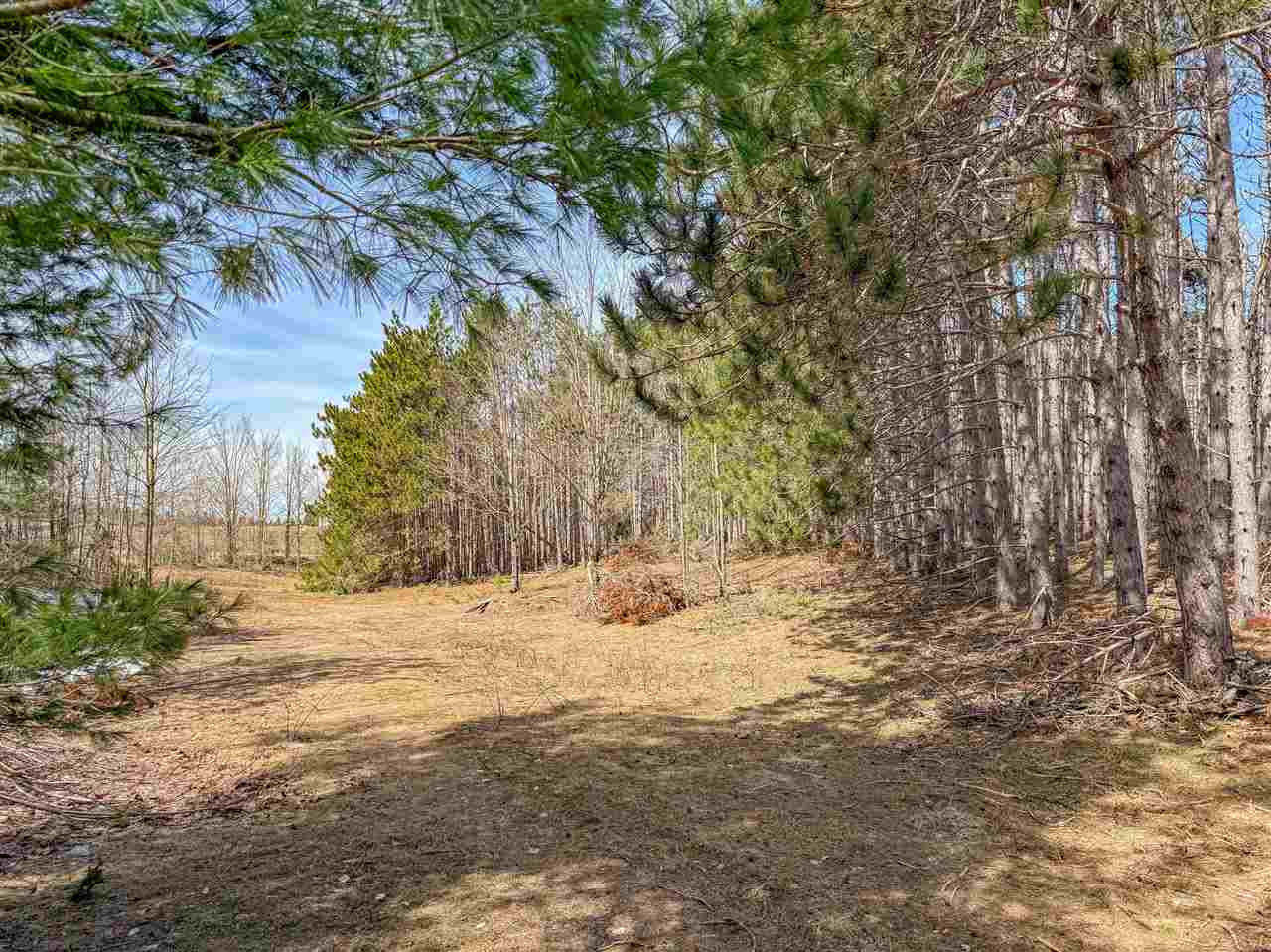 Tbd E Mitchell Road Petoskey MI 49770