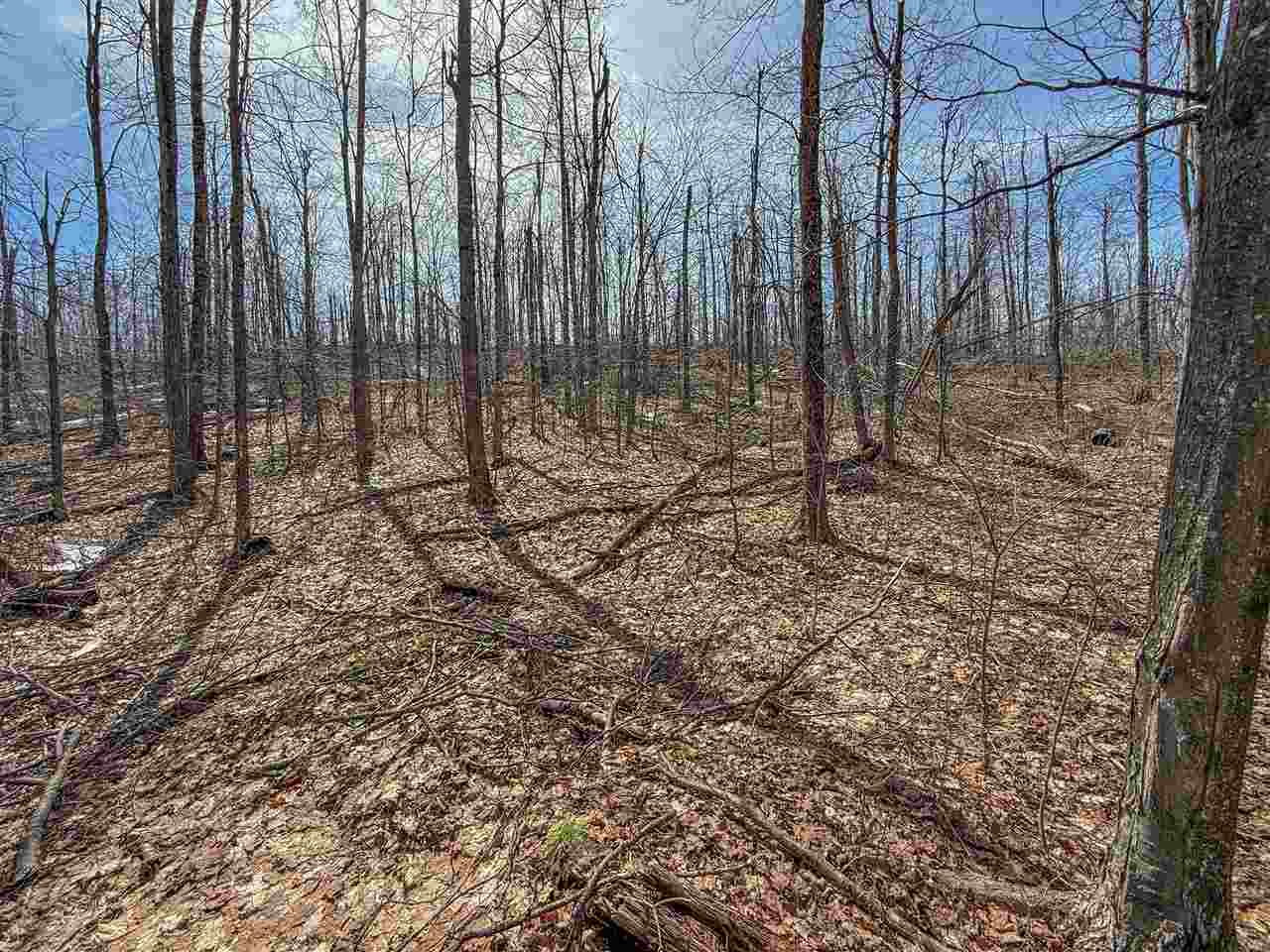 Tbd E Mitchell Road Petoskey MI 49770