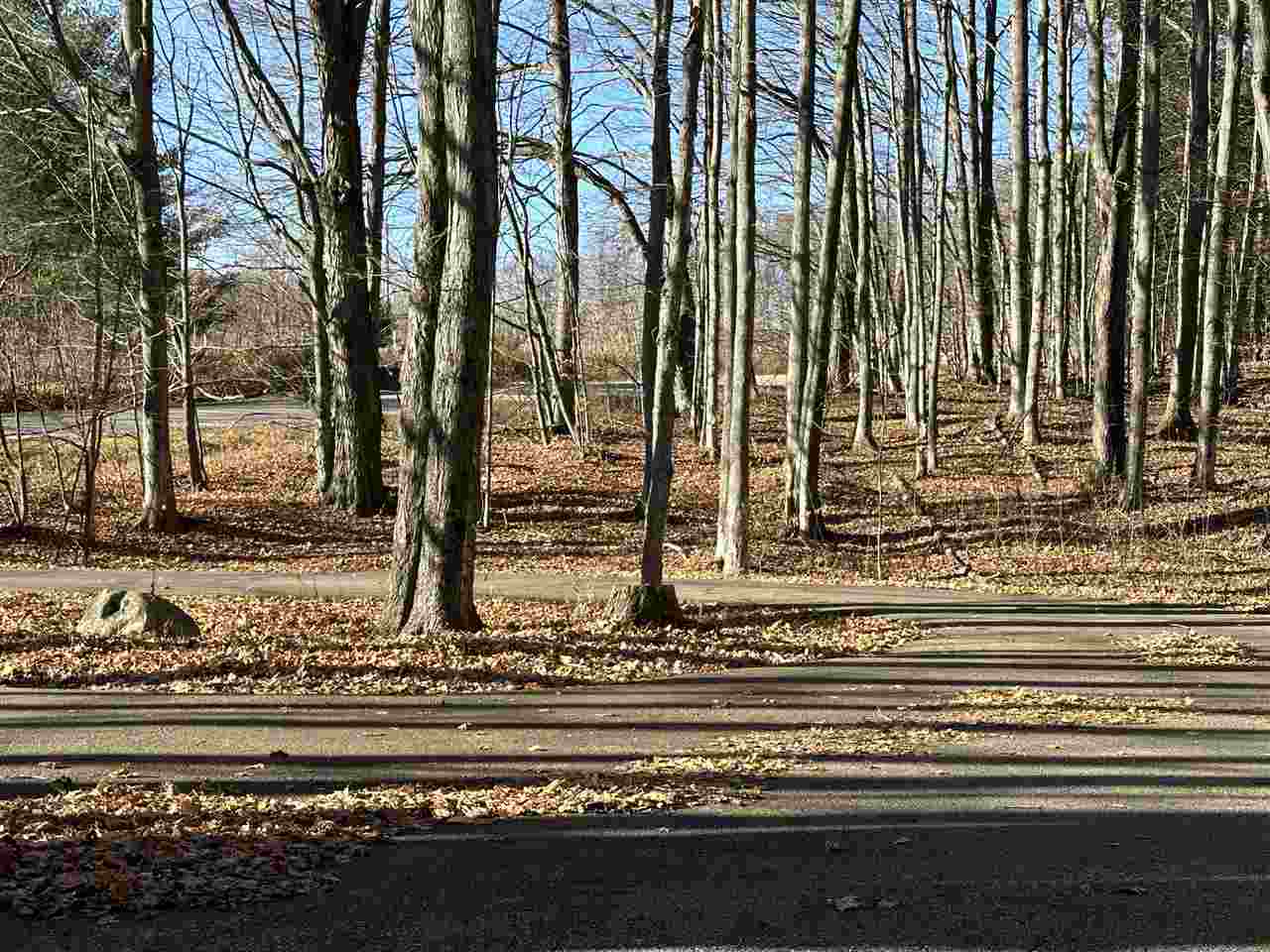 4550 Heynig Harbor Springs MI 49740