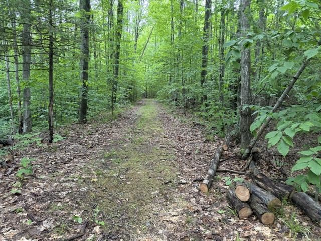 1546 Jenkins Road Boyne Falls MI 49713