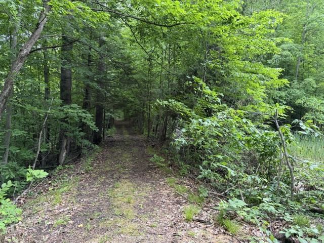 1546 Jenkins Road Boyne Falls MI 49713