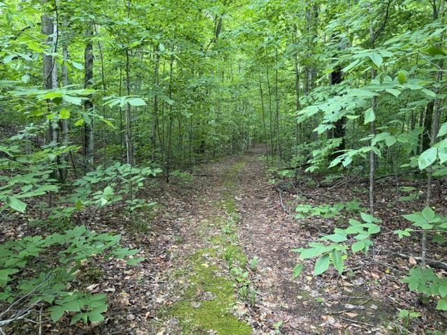 1546 Jenkins Road Boyne Falls MI 49713