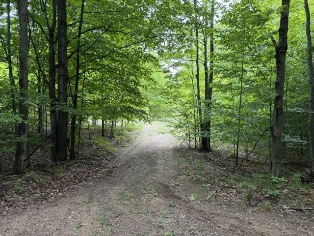 1546 Jenkins Road Boyne Falls MI 49713