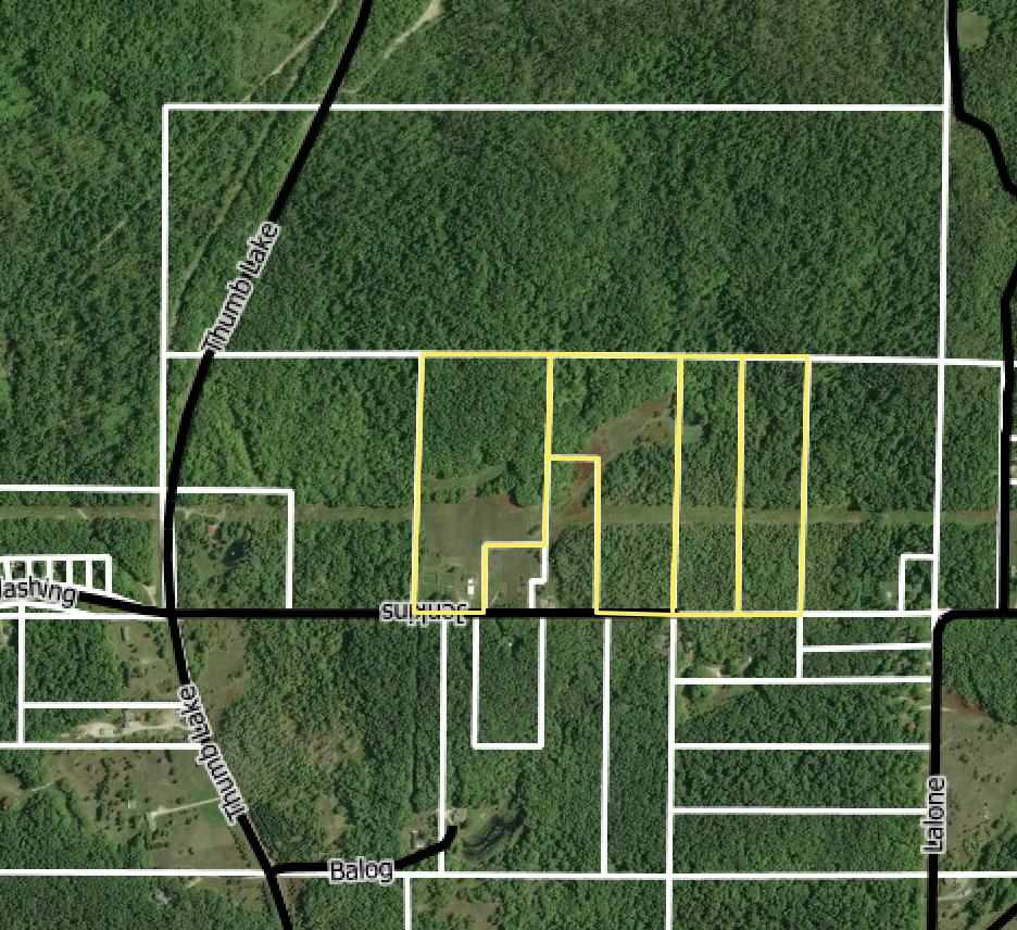 1546 Jenkins Road Boyne Falls MI 49713