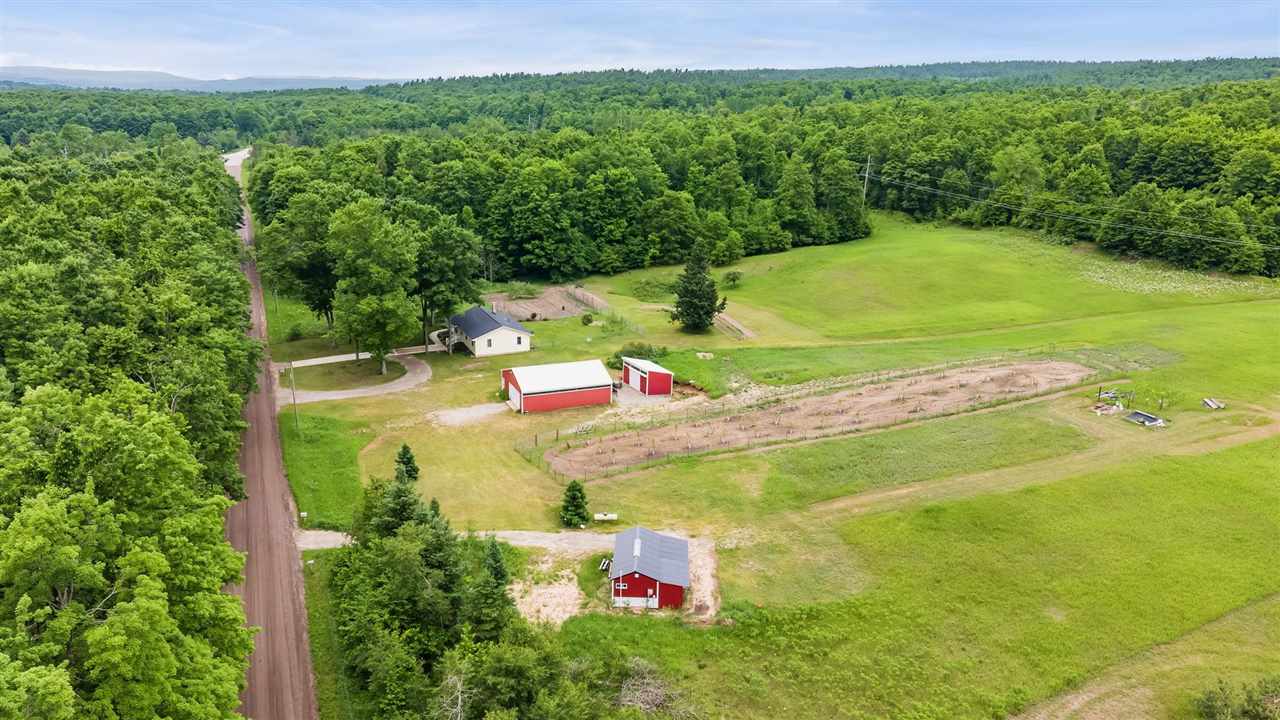 1546 Jenkins Road Boyne Falls MI 49713