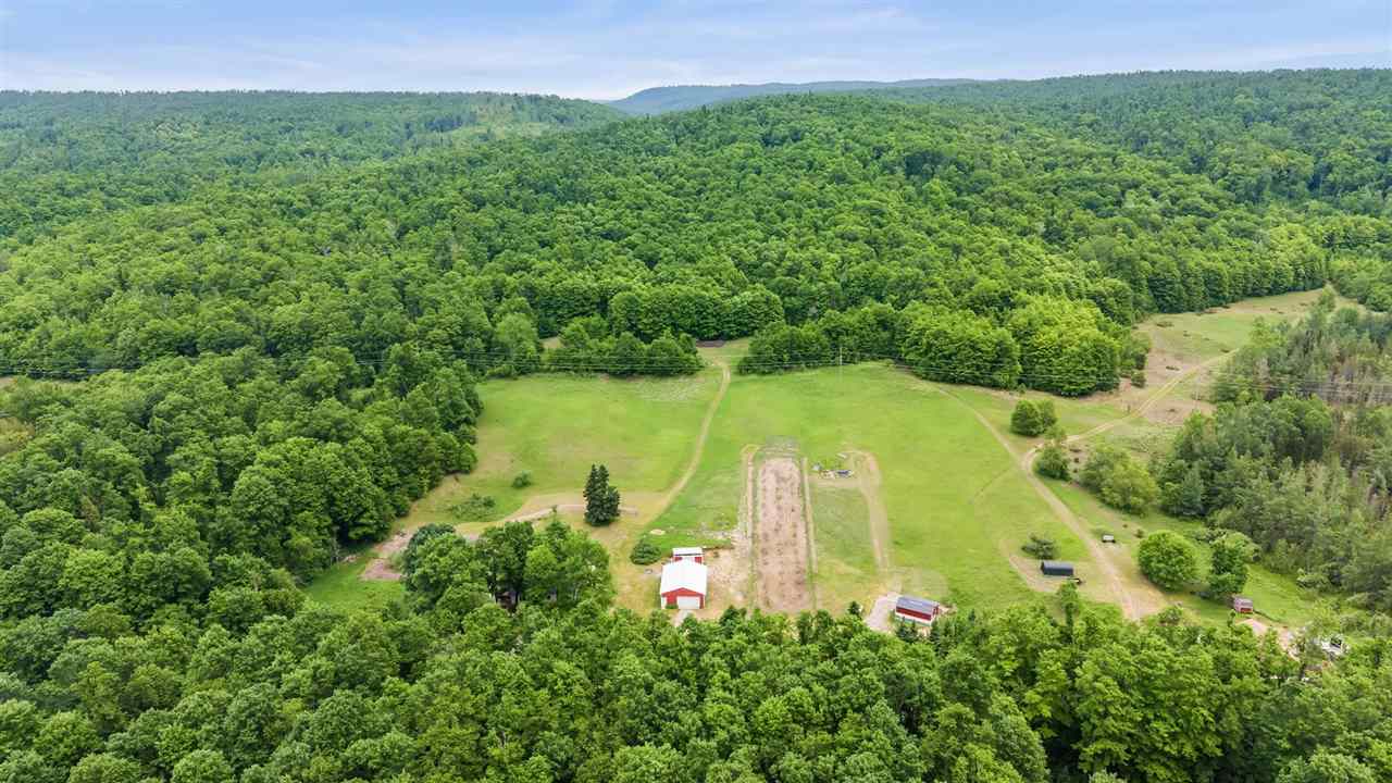 1546 Jenkins Road Boyne Falls MI 49713