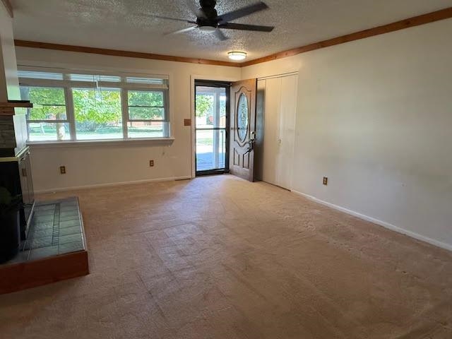 501 Green Acres Street Bellaire MI 49615