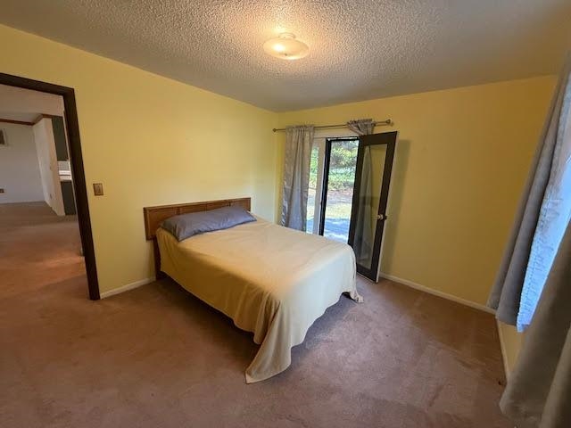 501 Green Acres Street Bellaire MI 49615