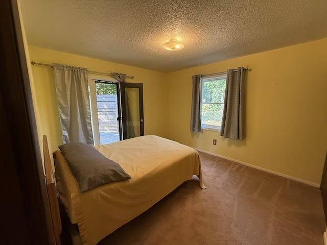 501 Green Acres Street Bellaire MI 49615