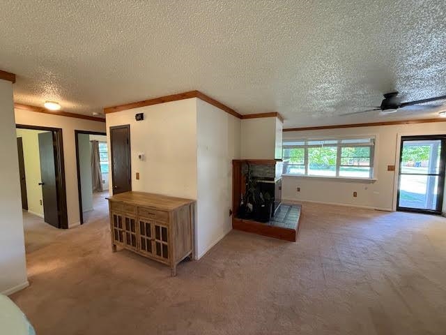 501 Green Acres Street Bellaire MI 49615