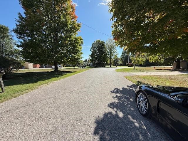 501 Green Acres Street Bellaire MI 49615