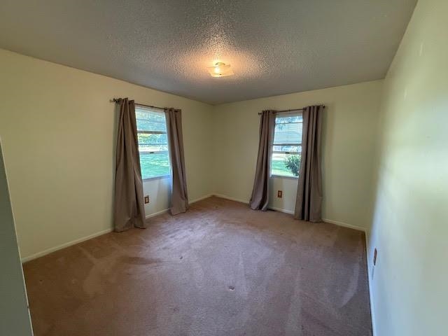 501 Green Acres Street Bellaire MI 49615