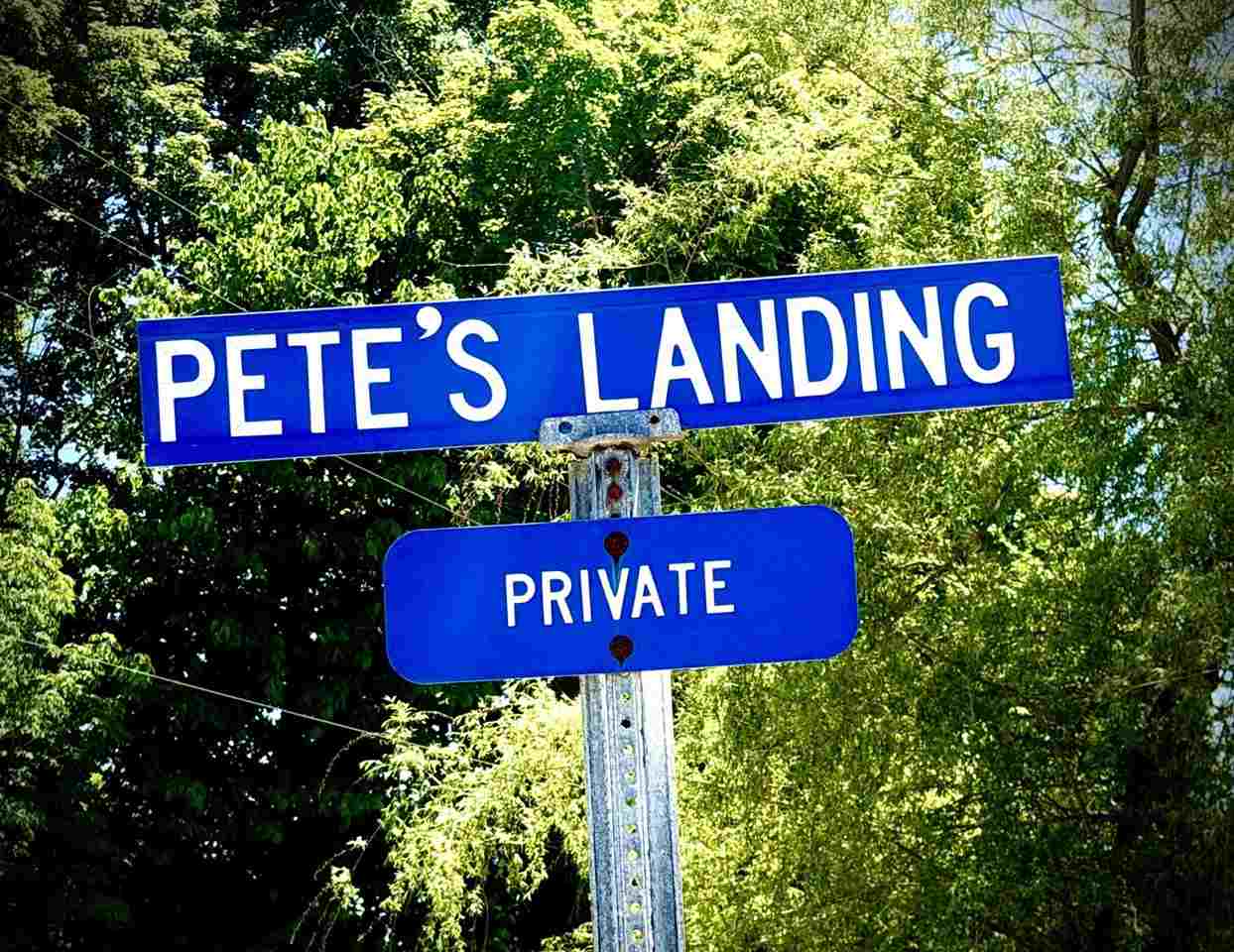 8614 Pete's Landing Ellsworth MI 49729