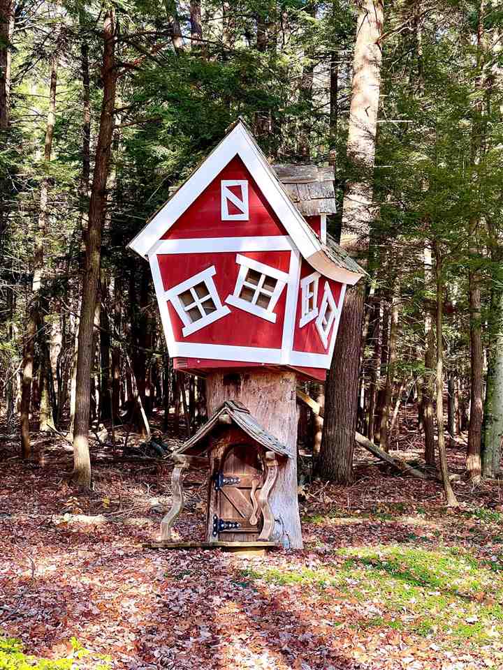 1807 North Shore Drive Walloon Lake MI 49796