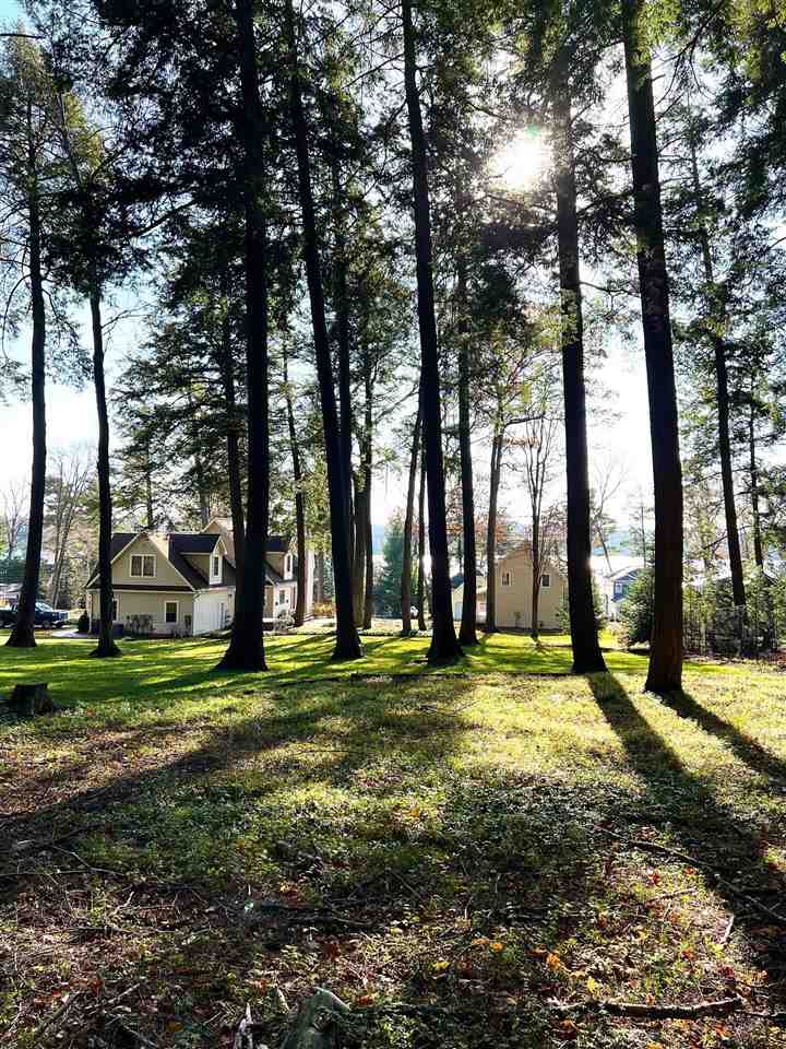 1807 North Shore Drive Walloon Lake MI 49796