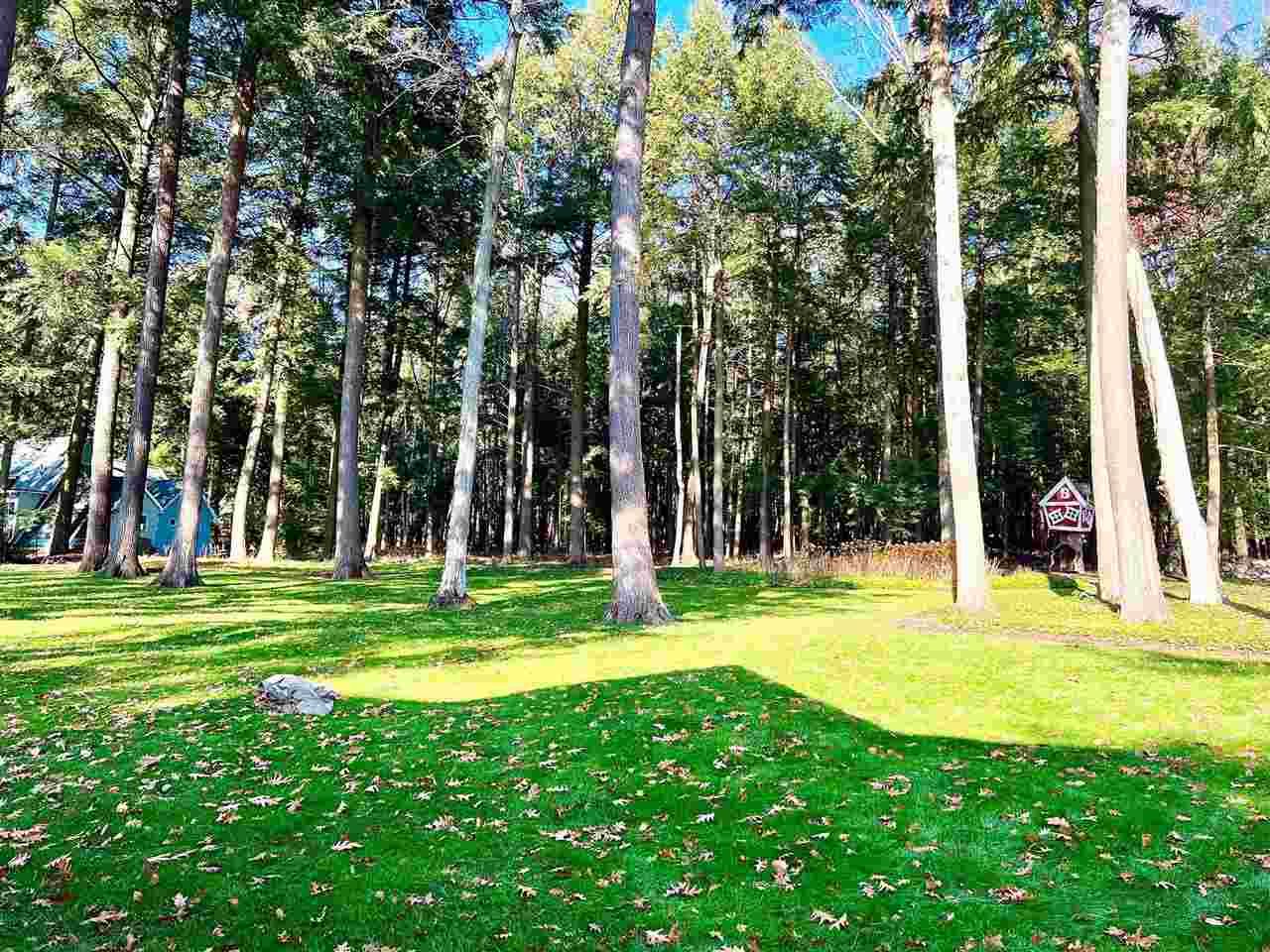 1807 North Shore Drive Walloon Lake MI 49796