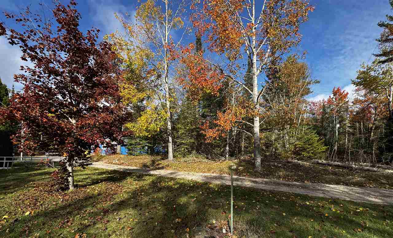 10285 Scanlon Drive Cheboygan MI 49721