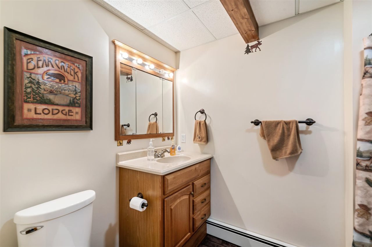 8373 S Ayr Road Alanson MI 49706