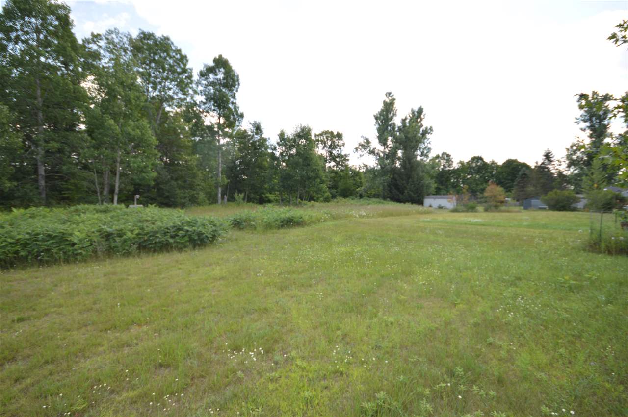 9785 S Straits Highway Wolverine MI 49799