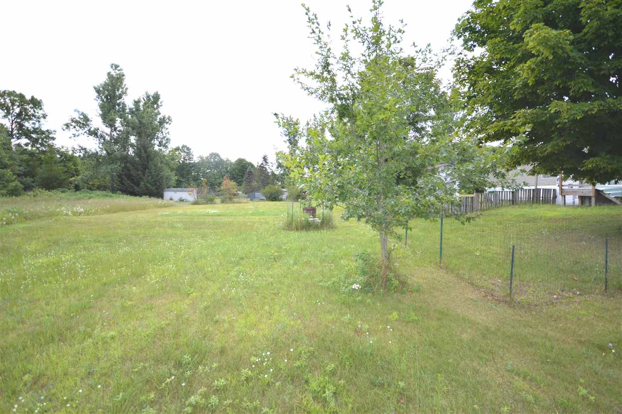 9785 S Straits Highway Wolverine MI 49799