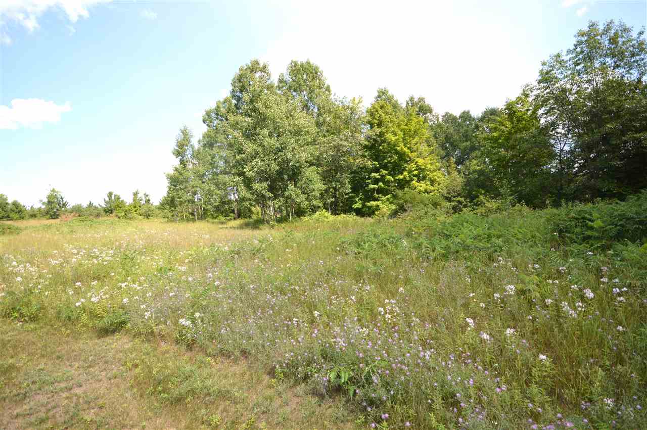 9785 S Straits Highway Wolverine MI 49799