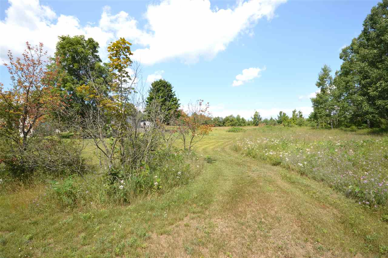 9785 S Straits Highway Wolverine MI 49799