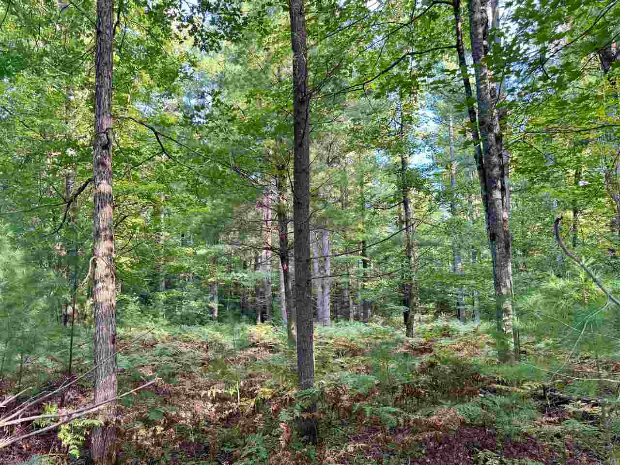 9969 Parke Road Alanson MI 49706