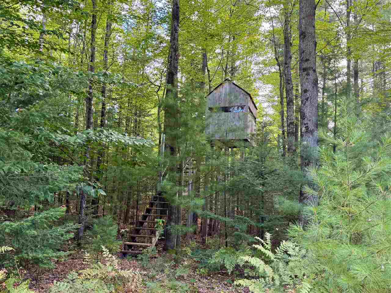 9969 Parke Road Alanson MI 49706