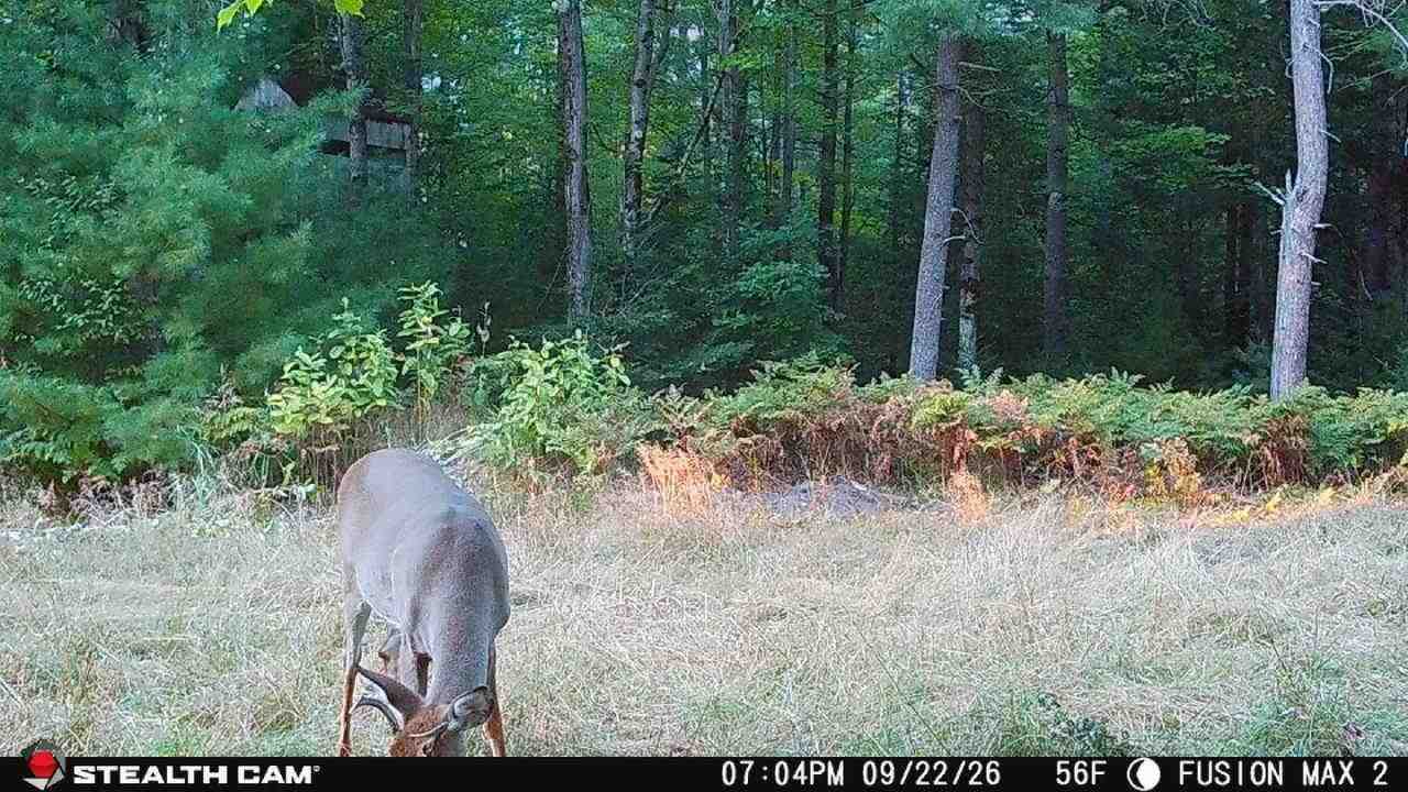 9969 Parke Road Alanson MI 49706