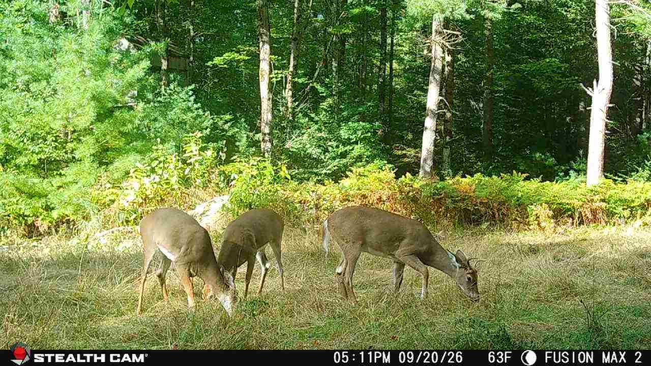 9969 Parke Road Alanson MI 49706