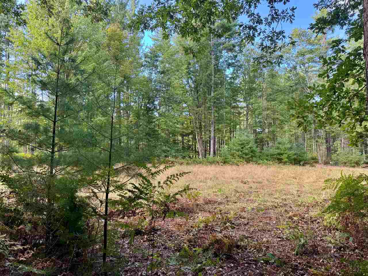 9969 Parke Road Alanson MI 49706