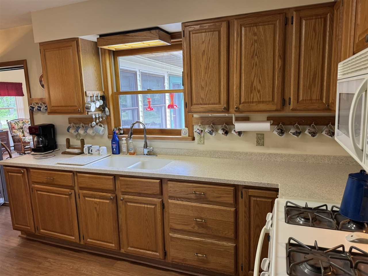 6955 Cedar Road Alanson MI 49706