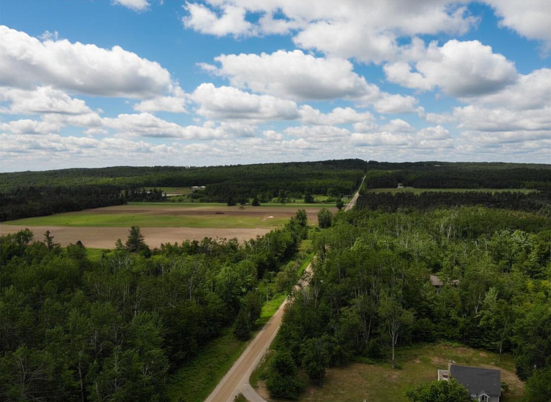6955 Cedar Road Alanson MI 49706