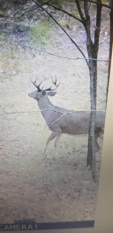 5436 E Gill Road Carp Lake MI 49718